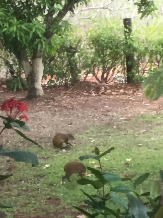 Villa Guarias Puntarenas Kültér fotó