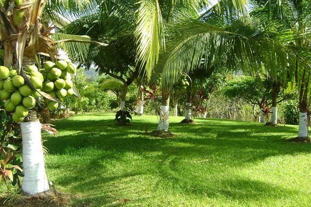 Villa Guarias Puntarenas Kültér fotó
